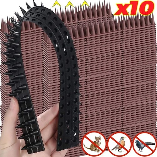 10pcs plastic bird pigeon - 1/10pcs,