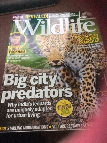 Bbc wildlife magazine december - wildlife,