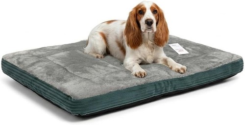 Dog bed pet - cat, beds