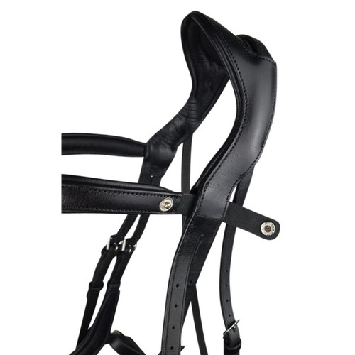 Ecorider new style freedom - ecorider,
