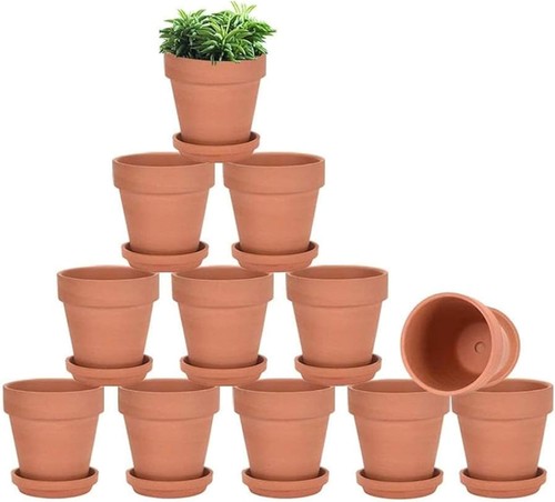 Terracotta pots with saucers - terracotta,
