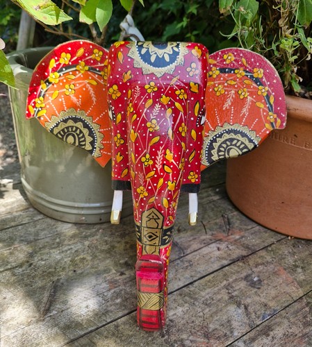 Jaipur indian elephant - elephant, head