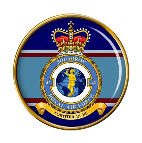 Squadron raf pin badge - raf,