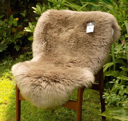 Large very light taupe - -,