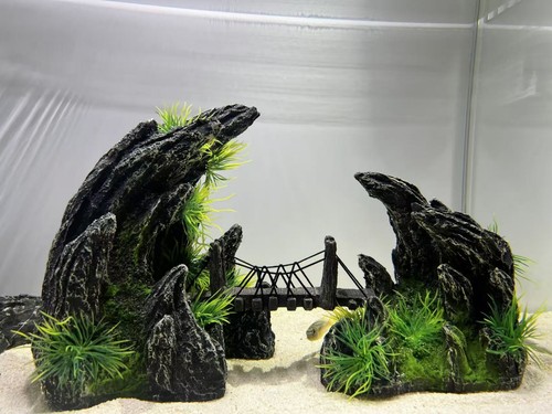 Large rock mountain aquarium - mountain,