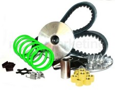 SPORT PERFORMANCE VARIATOR