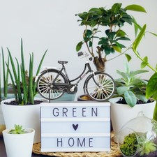  1 Set Vintage Bike Model