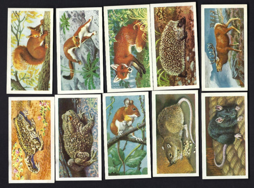 Brooke bond british - brooke,