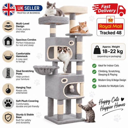 Large grey cat - cat, tower