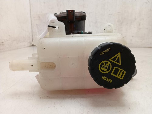 2025 5l petrol - mg,
