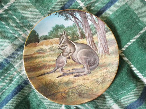 Bradex the bridled wallaby - bridled, wallaby"