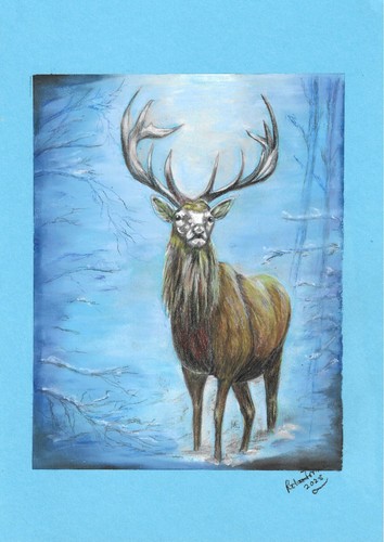 Wild stag original pastel - wild,