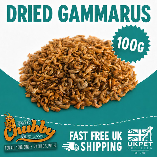 Dried gammarus shrimp fish - gammarus,