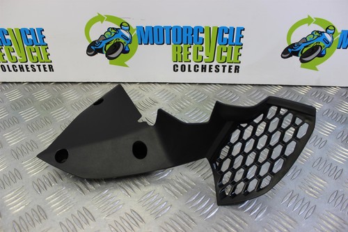 Kawasaki 1000 panel - z, fairing