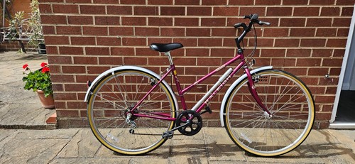 Ladies raleigh pioneer - raleigh,