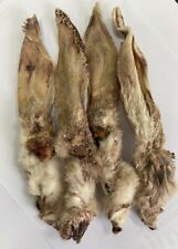 Trusty's 40 x Furry Hairy