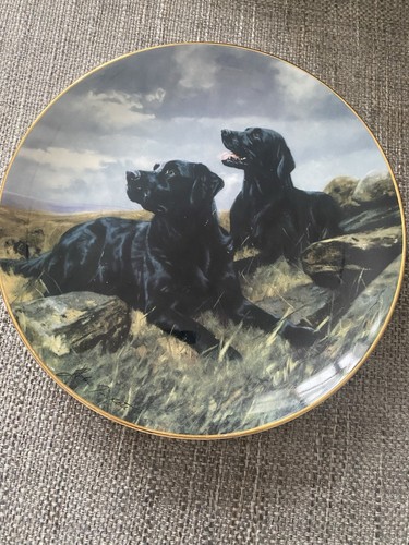 Royal doulton labrador - royal,