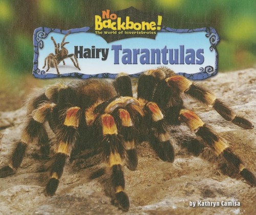 Hairy tarantulas backbone - tarantulas, (no