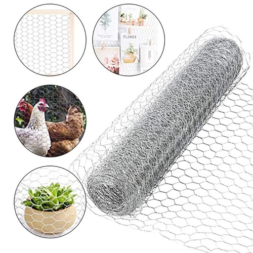 Galvanised chicken wire mesh - chicken,