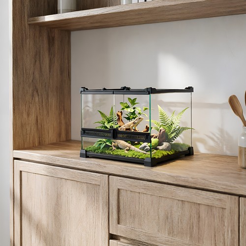 Tempered glass reptile - glass,