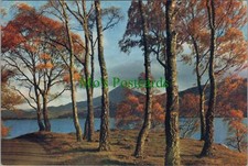 Scotland Postcard - The Shores of Loch Rannoch, Perthshire. Posted 1963 -RR15326