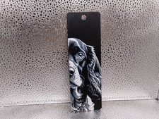 American Cocker Spaniel