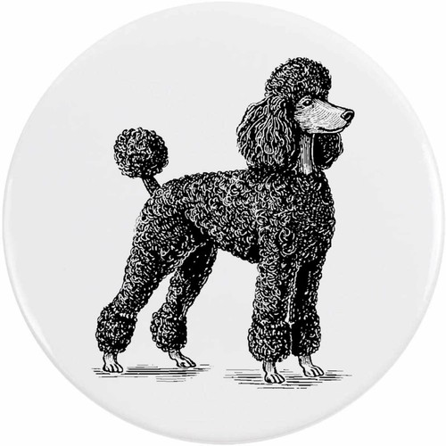 Black poodle side view - side, view'