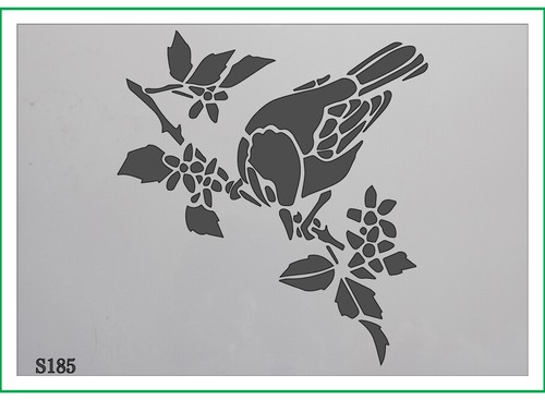 Bird branch berries - branch,