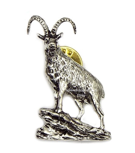 Standing ibex wild - wild, goat