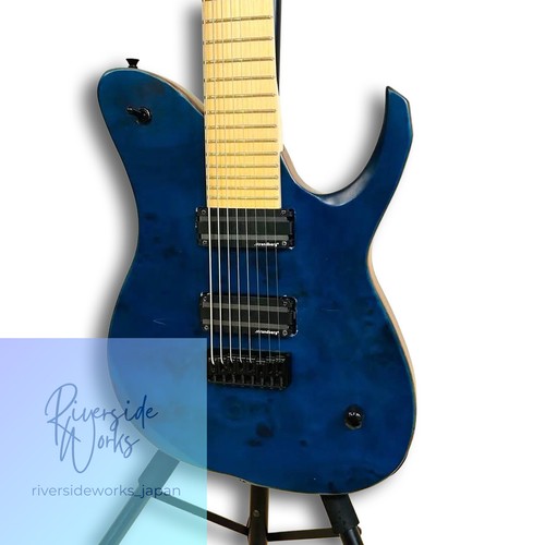Strandberg string guitar - strandberg,