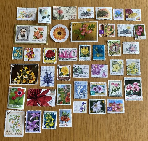 Flower worldwide used - 40,