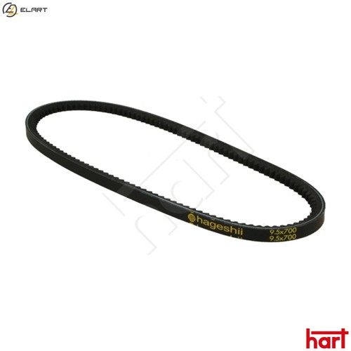 Vbelt 305 623 for - 305,