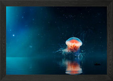 Jellyfish Tentacles Surrea