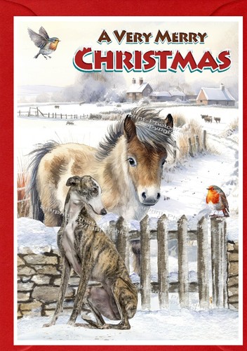 Greyhound dog christmas - dog,