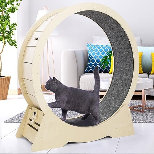Qoility cat exercise wheel - qoility,