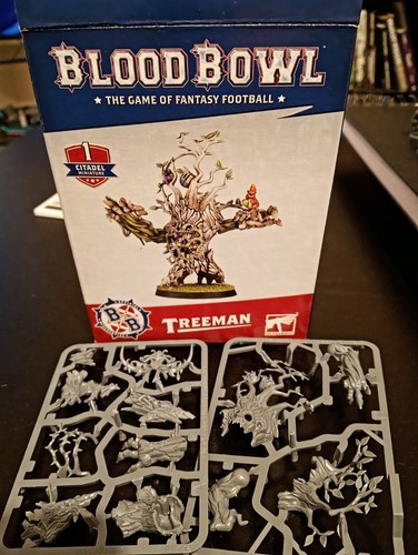 Warhammer blood bowl - blood,