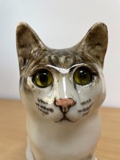 Winstanley Brown Tabby & White