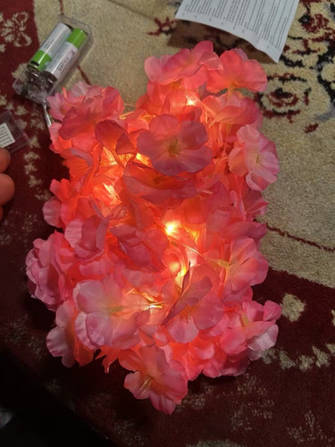 Cherry blossom fairy lights - cherry,