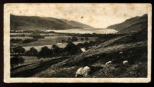 Tobacco Card, R&J Hill