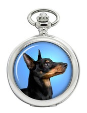 English Toy Terrier (Black &
