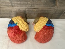 Teaching Model of Colorful