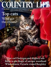 COUNTRY LIFE MAGAZINE 25 MARCH