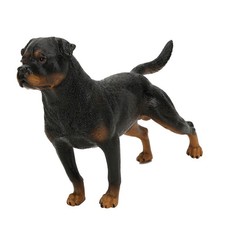 (PL127-703)Rottweiler
