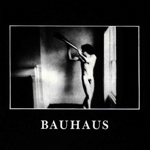Bauhaus the flat field - the,