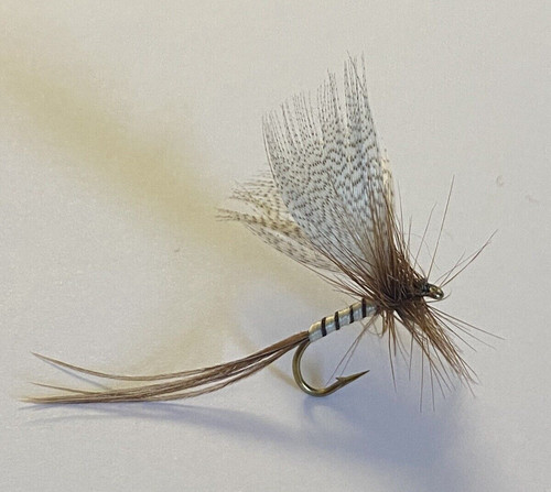 May fly natural colour - fly,,