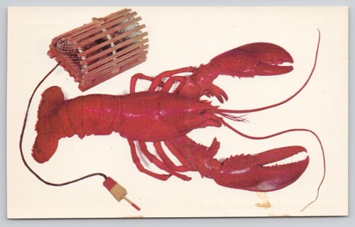 Postcard miniature model - , of