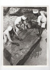 Ancient Limestone Relief In Egypt Archaeologist 1968 Press Photo