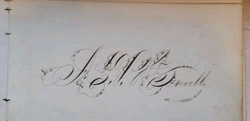 Autograph bird penmanship - autograph,