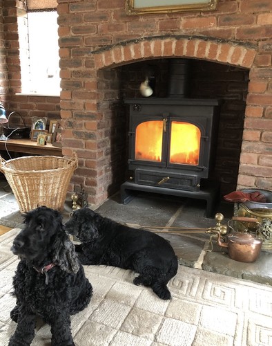 Clearview 650 stove - stove,, 12kw