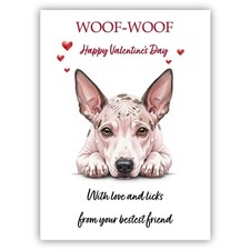 American hairless terrier dog - american,